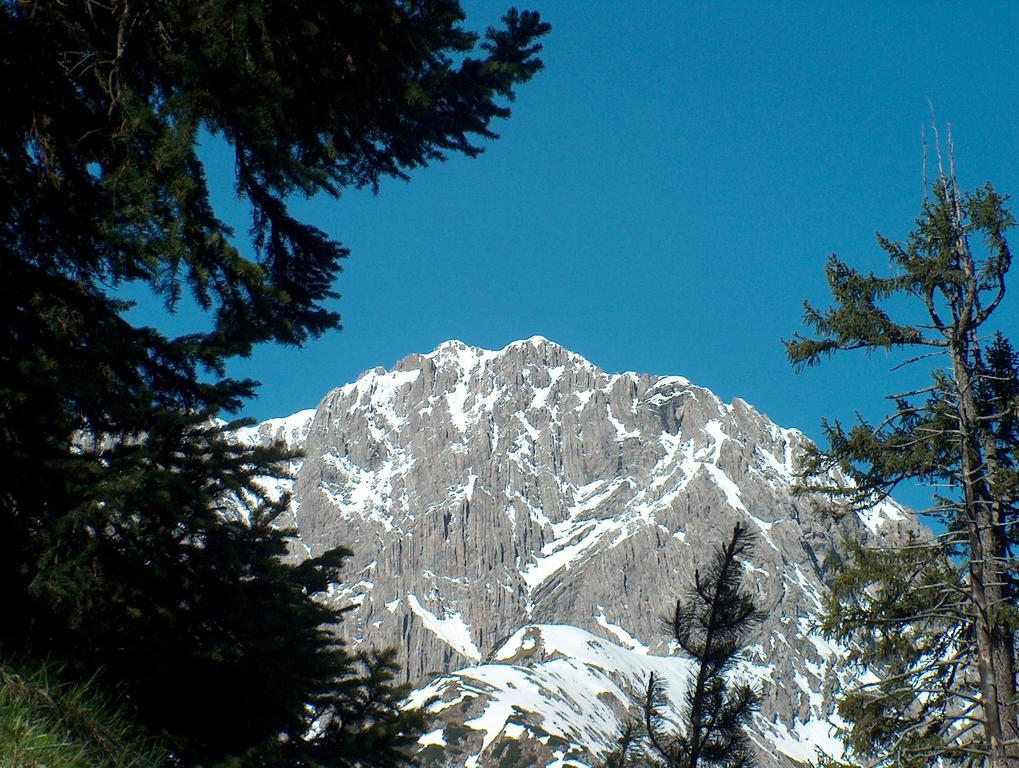 Gasthof "Zur Gemuetlichkeit" Bschlabs Экстерьер фото
